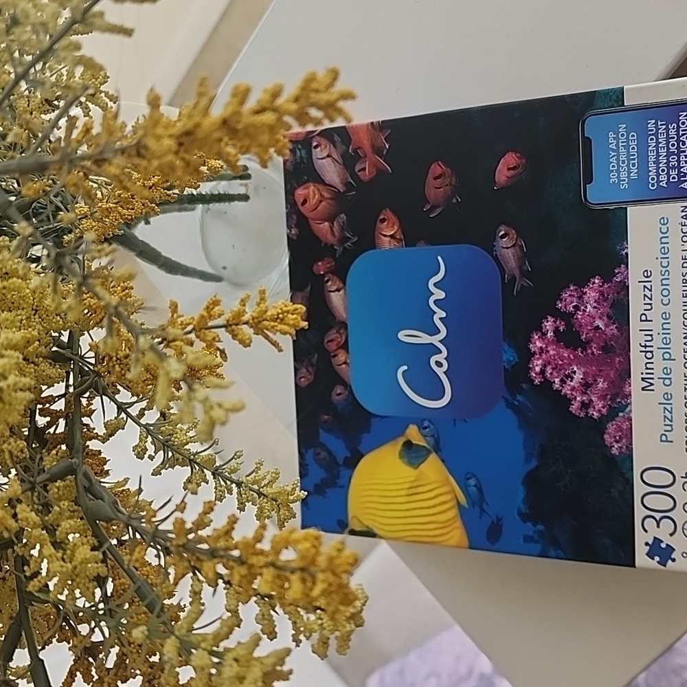 Vibrant Puzzle Set Blue and Pink